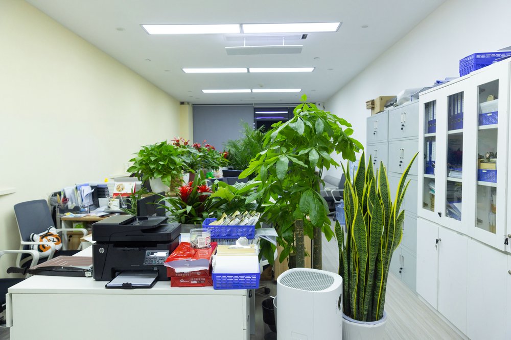 环境照片(图1)